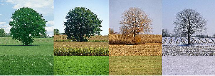 世嘉首个“超级游戏”开发工作进展顺利